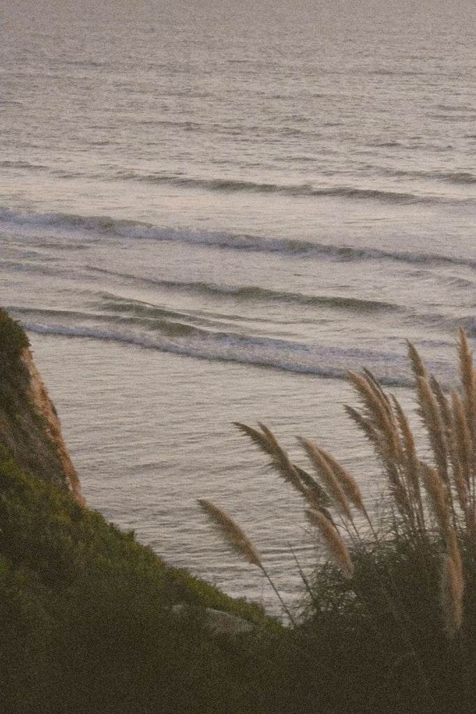 The Fall Resort Edit